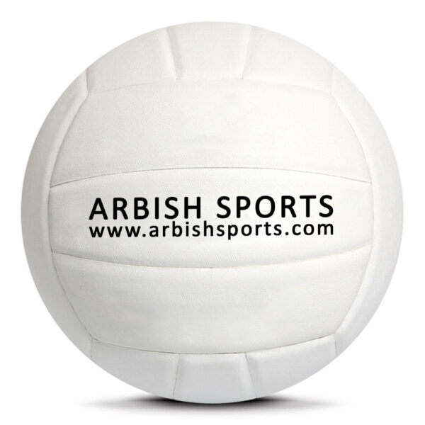 Professional Play Volleyball ASI-VB-1001