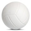 2 Professional Play Volleyball ASI-VB-1001