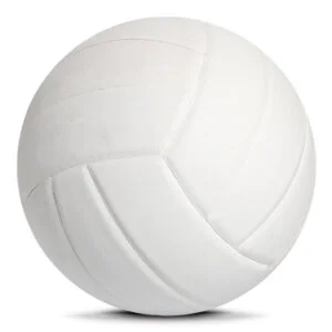 Professional Play Volleyball ASI-VB-1001