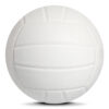 3 Professional Play Volleyball ASI-VB-1001