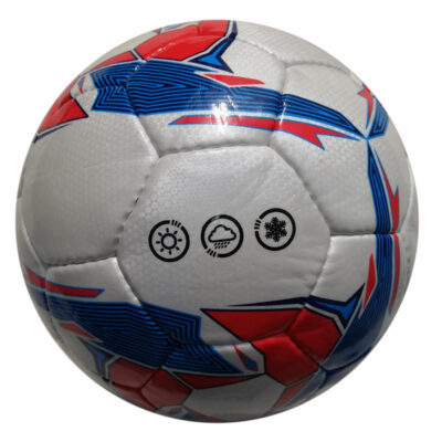 Competition Ball ASI-704 Hand Sewn