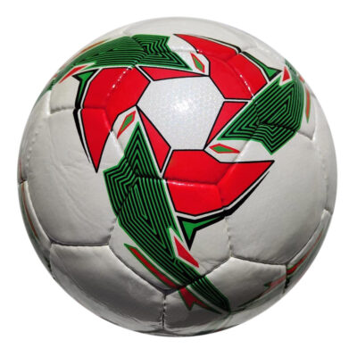 Competition Ball ASI-704 Hand Sewn