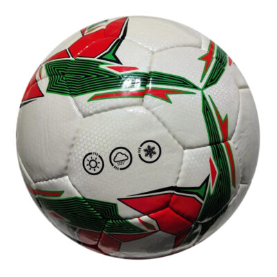 Competition Ball ASI-704 Hand Sewn