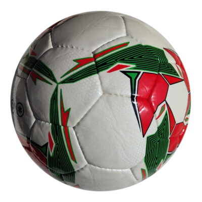 Competition Ball ASI-704 Hand Sewn