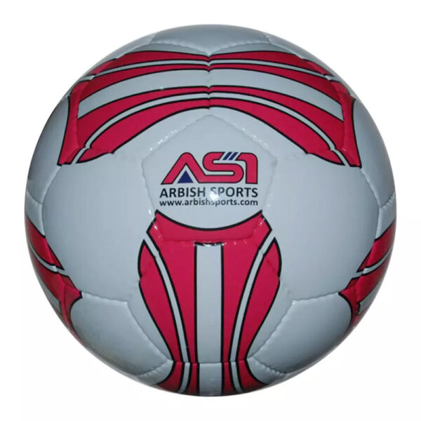 ASI Soccer -Professional Soccer Ball 32 Panel ASI-PTTPSB-0005