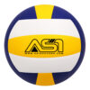 2 Training Volleyball ASI-TVB-1001