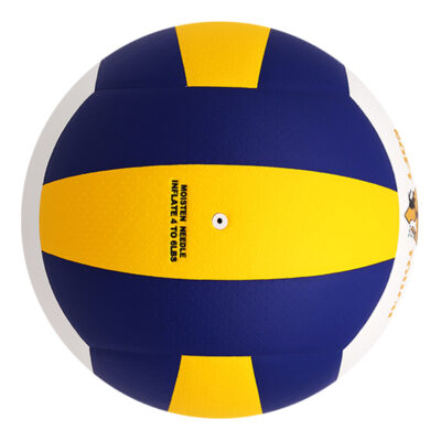 Training Volleyball ASI-TVB-1001