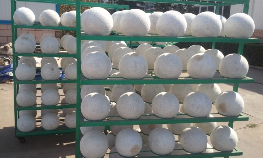 winding-thread-rubber-bladder-for-soccer-balls