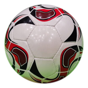 32 Panel Practice Soccer Ball ASI-SBMSB-1008 Hand Sewn