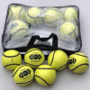 2 Sliotar-Hurling Ball ASI-HB-103