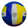2 Professional Play Volleyball ASI-VB-1002