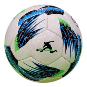32 Panel Practice Soccer Ball ASI-SBMSB-1004 Hand Sewn