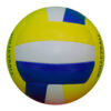 4 Professional Play Volleyball ASI-VB-1002