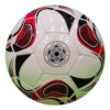 32 Panel Practice Soccer Ball ASI-SBMSB-1008 Hand Sewn
