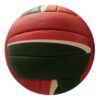 Hand-Sewn Beach Volleyball ASI-BVB-1004