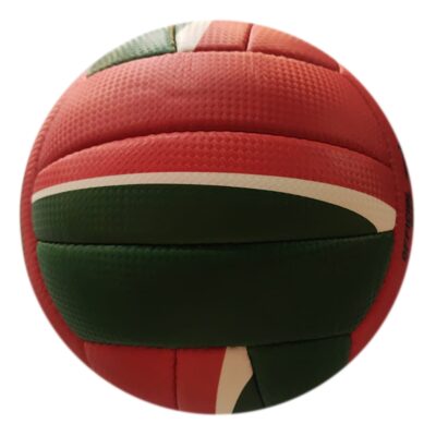 2 Hand-Sewn Beach Volleyball ASI-BVB-1004