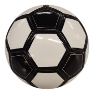 Machine Stitched Practice Soccer Ball ASI-TSB-0008