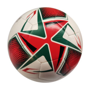 Machine Stitched Practice Soccer Ball ASI-TSB-0013