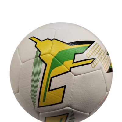 Machine Stitched Practice Soccer Ball ASI-TSB-0012